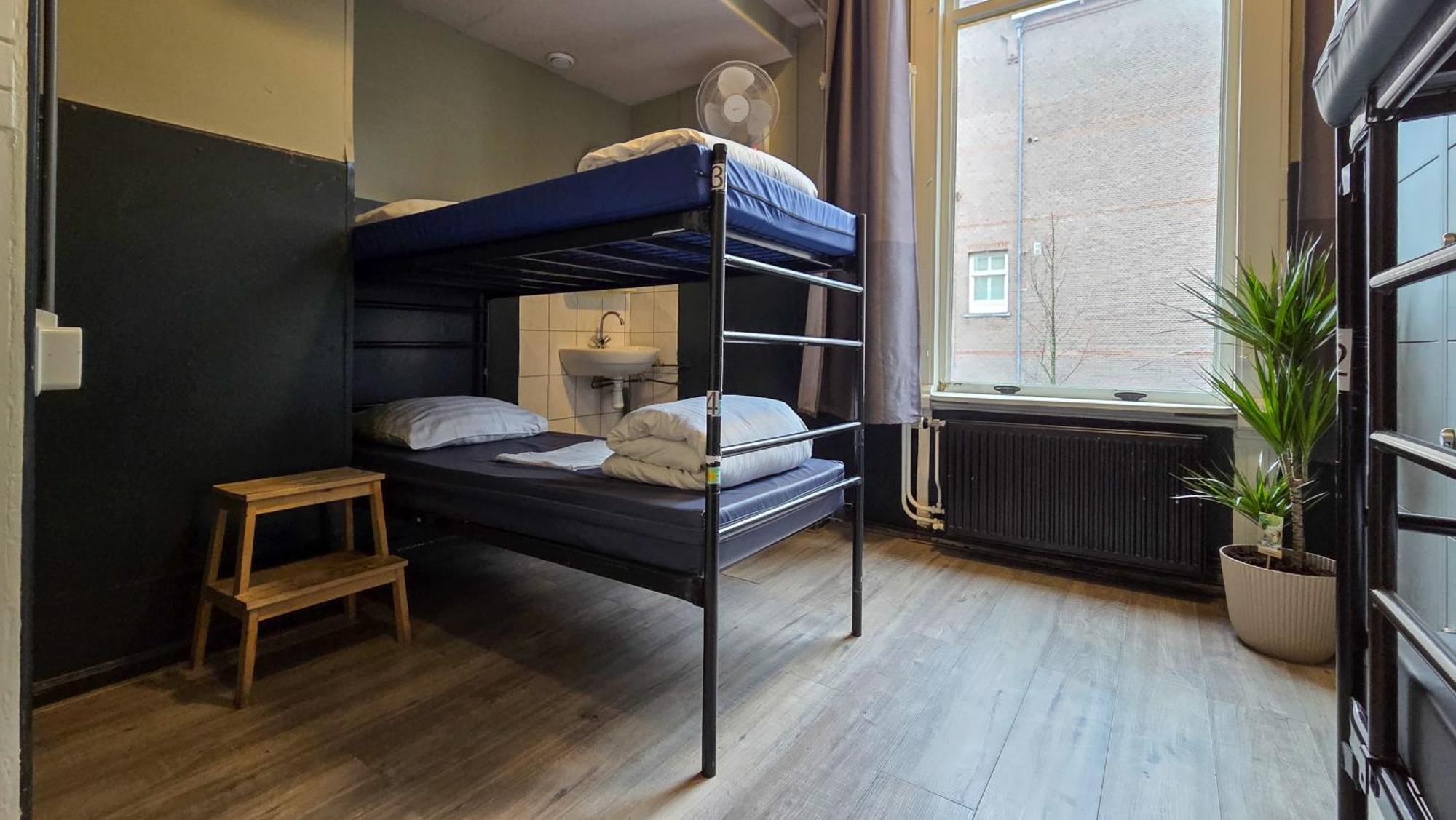4-Bed Mixed Dormitory Room